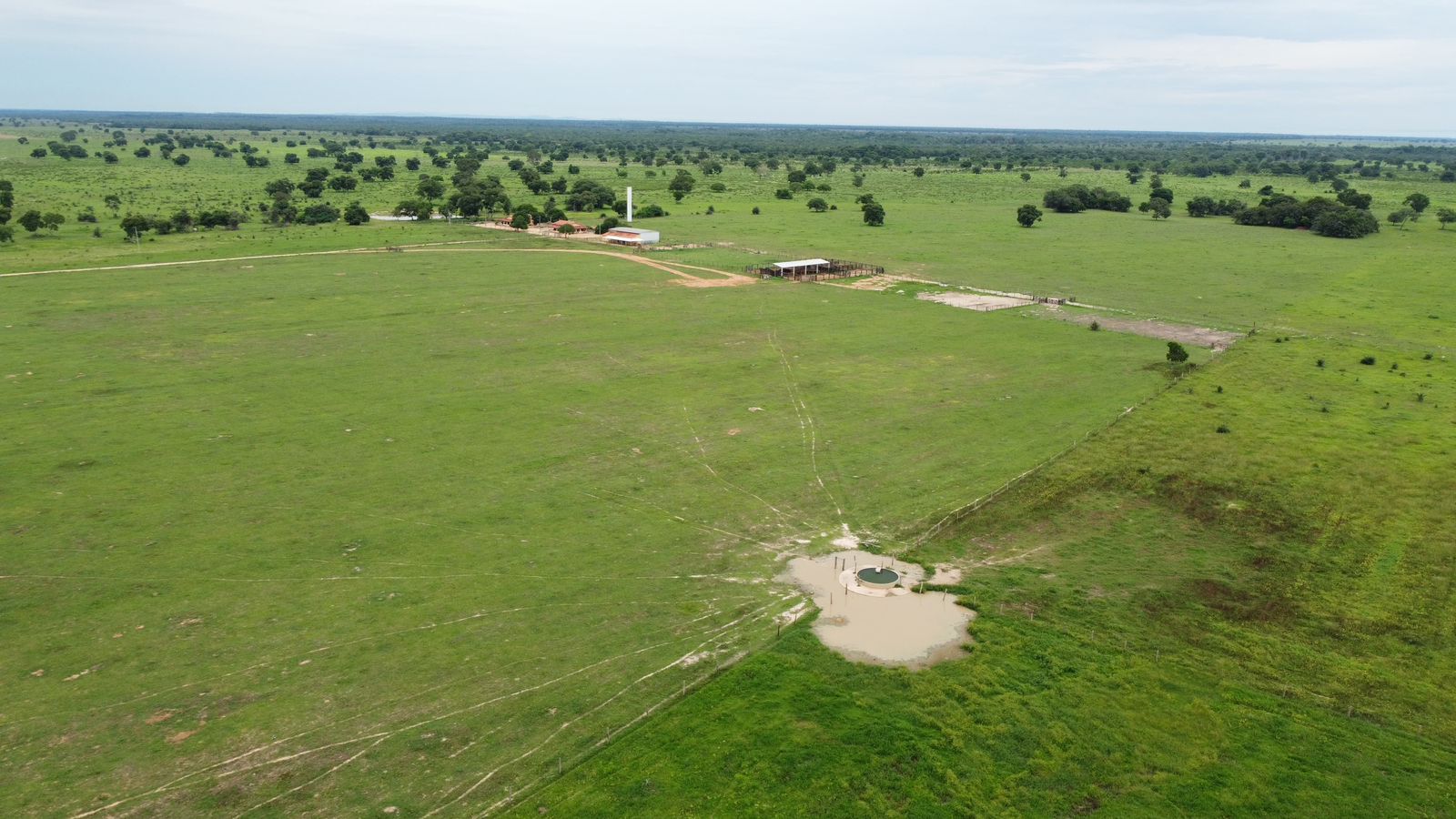Fazenda à Venda em Araguaiana - MT / 4.158 hectares de área total / 2.900 hectares de área de pastagem / 23 divisões de pasto / curral com brete e balança / galpão de máquinas