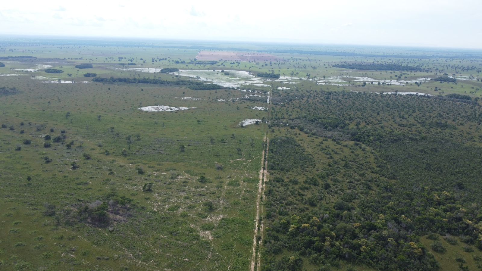 Fazenda à Venda em Araguaiana - MT / 4.158 hectares de área total / 2.900 hectares de área de pastagem / 23 divisões de pasto / curral com brete e balança / galpão de máquinas