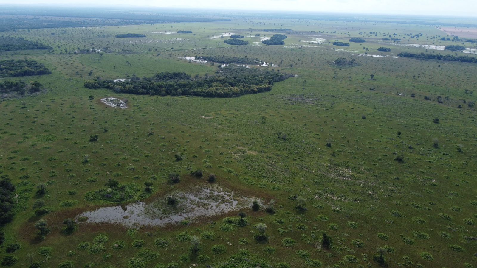 Fazenda à Venda em Araguaiana - MT / 4.158 hectares de área total / 2.900 hectares de área de pastagem / 23 divisões de pasto / curral com brete e balança / galpão de máquinas