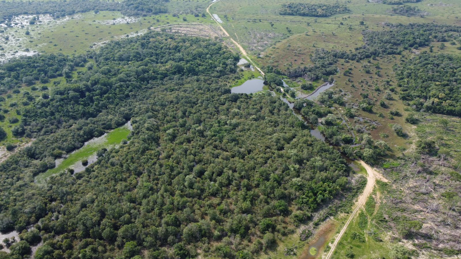Fazenda à Venda em Araguaiana - MT / 4.158 hectares de área total / 2.900 hectares de área de pastagem / 23 divisões de pasto / curral com brete e balança / galpão de máquinas