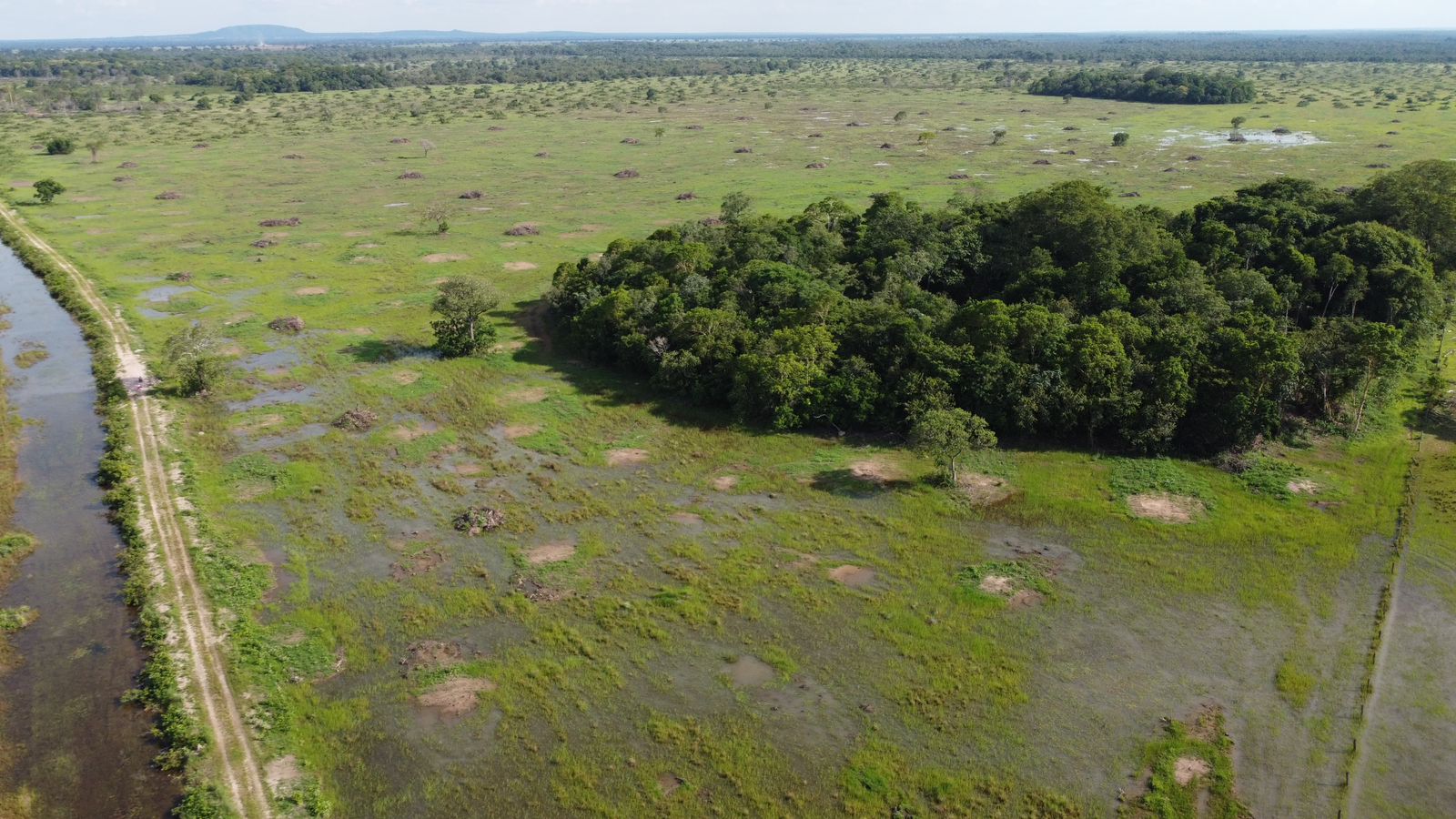 Fazenda à Venda em Araguaiana - MT / 4.158 hectares de área total / 2.900 hectares de área de pastagem / 23 divisões de pasto / curral com brete e balança / galpão de máquinas