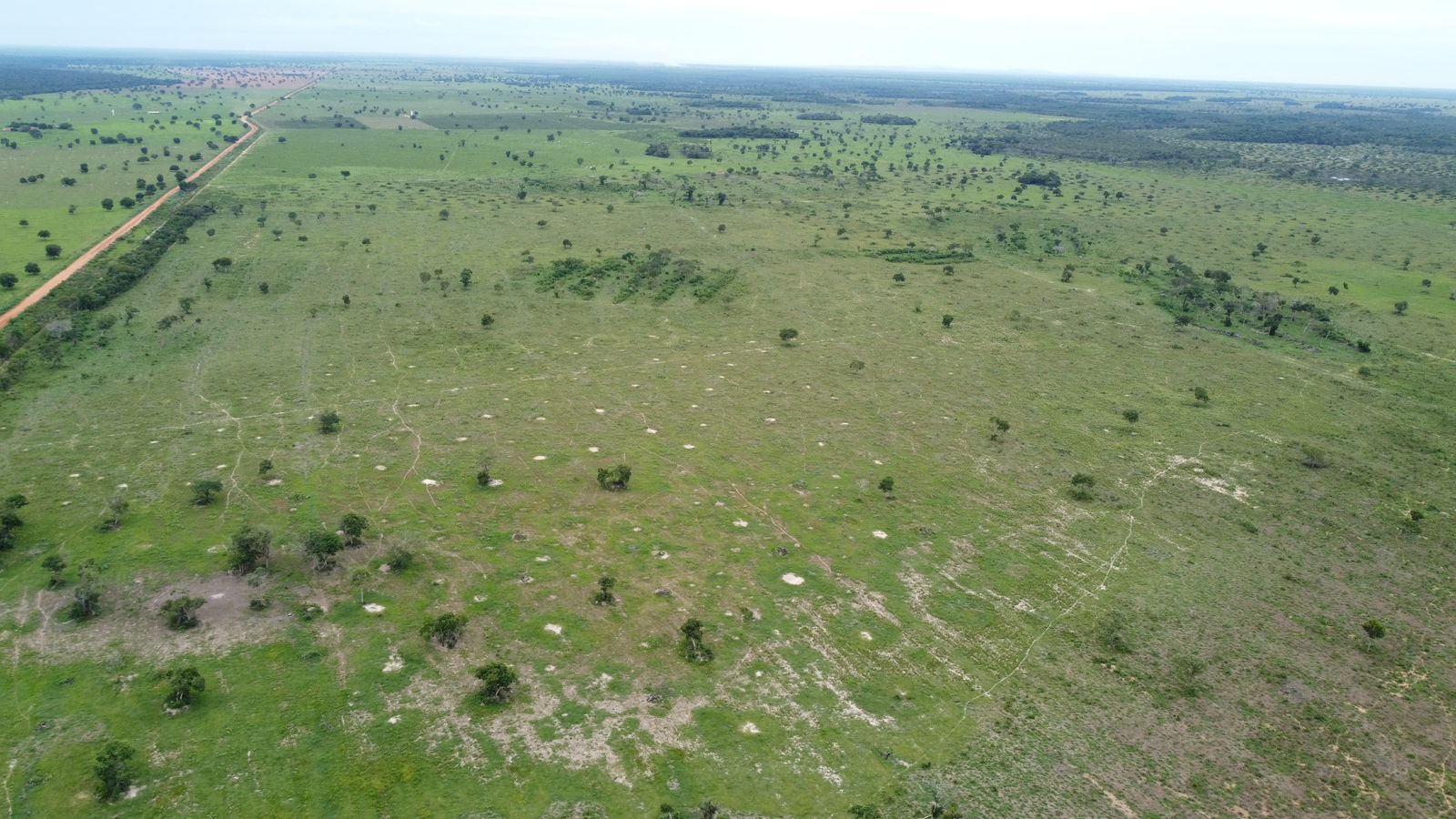 Fazenda à Venda em Araguaiana - MT / 4.158 hectares de área total / 2.900 hectares de área de pastagem / 23 divisões de pasto / curral com brete e balança / galpão de máquinas