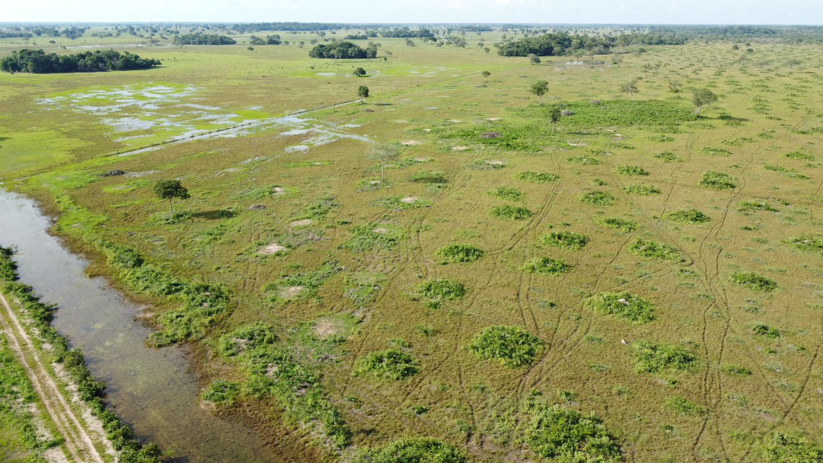 Fazenda à Venda em Araguaiana - MT / 4.158 hectares de área total / 2.900 hectares de área de pastagem / 23 divisões de pasto / curral com brete e balança / galpão de máquinas