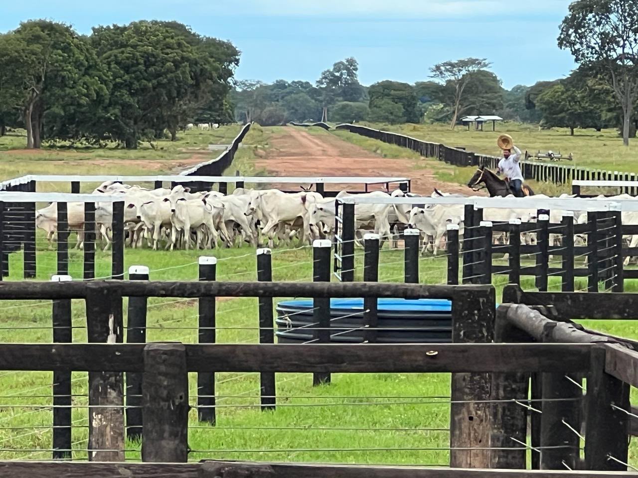 Fazenda à Venda em Aruanã, GO / dupla aptidão / 3.363 hectares de área total / 968 hectares de área em lavoura / 307km de Goiânia / Benfeitorias Completas