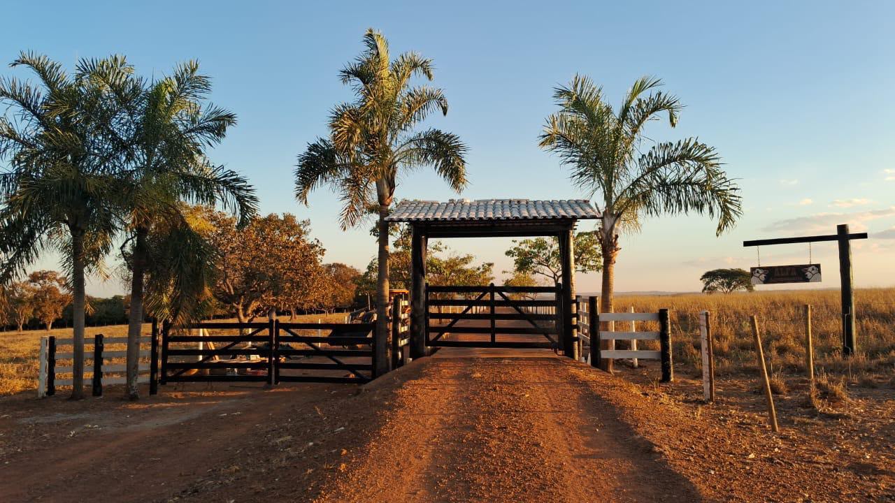 Fazenda de Alto Padrão / 18alq(GO) de Terra de cultura / São Miguel do Passa Quatro / 80km de Goiânia / 400 cabeças de gado / 850 metros de altitude / Fazenda plana / Benfeitorias Completas