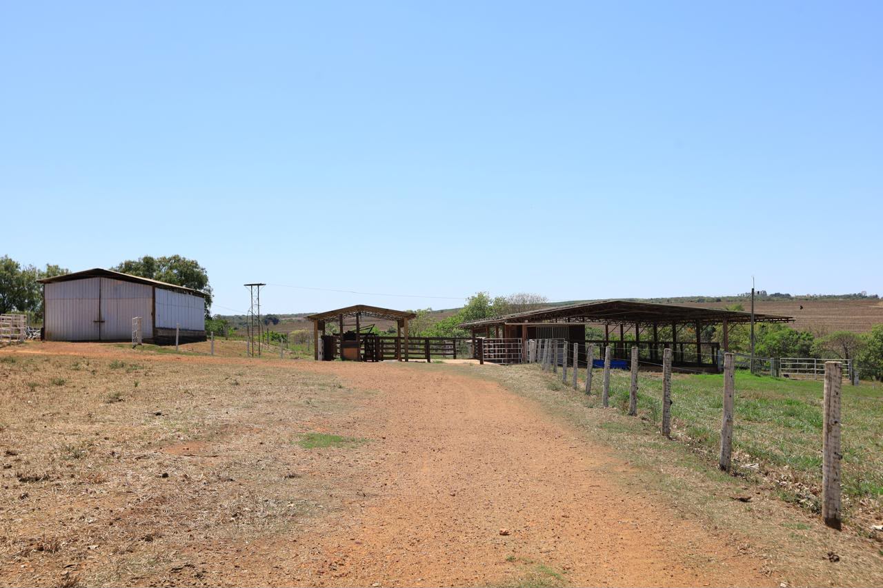 Fazenda de Alto Padrão / 18alq(GO) de Terra de cultura / São Miguel do Passa Quatro / 80km de Goiânia / 400 cabeças de gado / 850 metros de altitude / Fazenda plana / Benfeitorias Completas