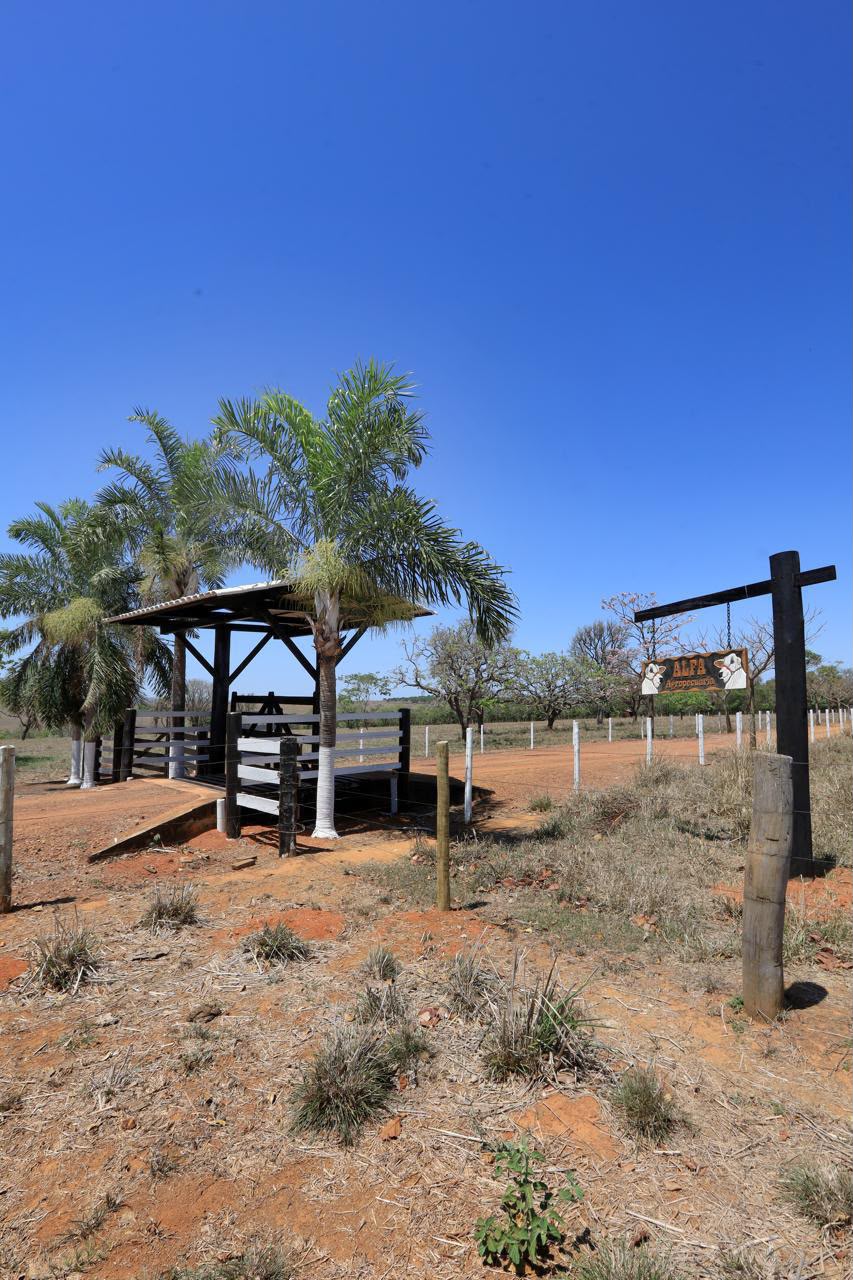 Fazenda de Alto Padrão / 18alq(GO) de Terra de cultura / São Miguel do Passa Quatro / 80km de Goiânia / 400 cabeças de gado / 850 metros de altitude / Fazenda plana / Benfeitorias Completas