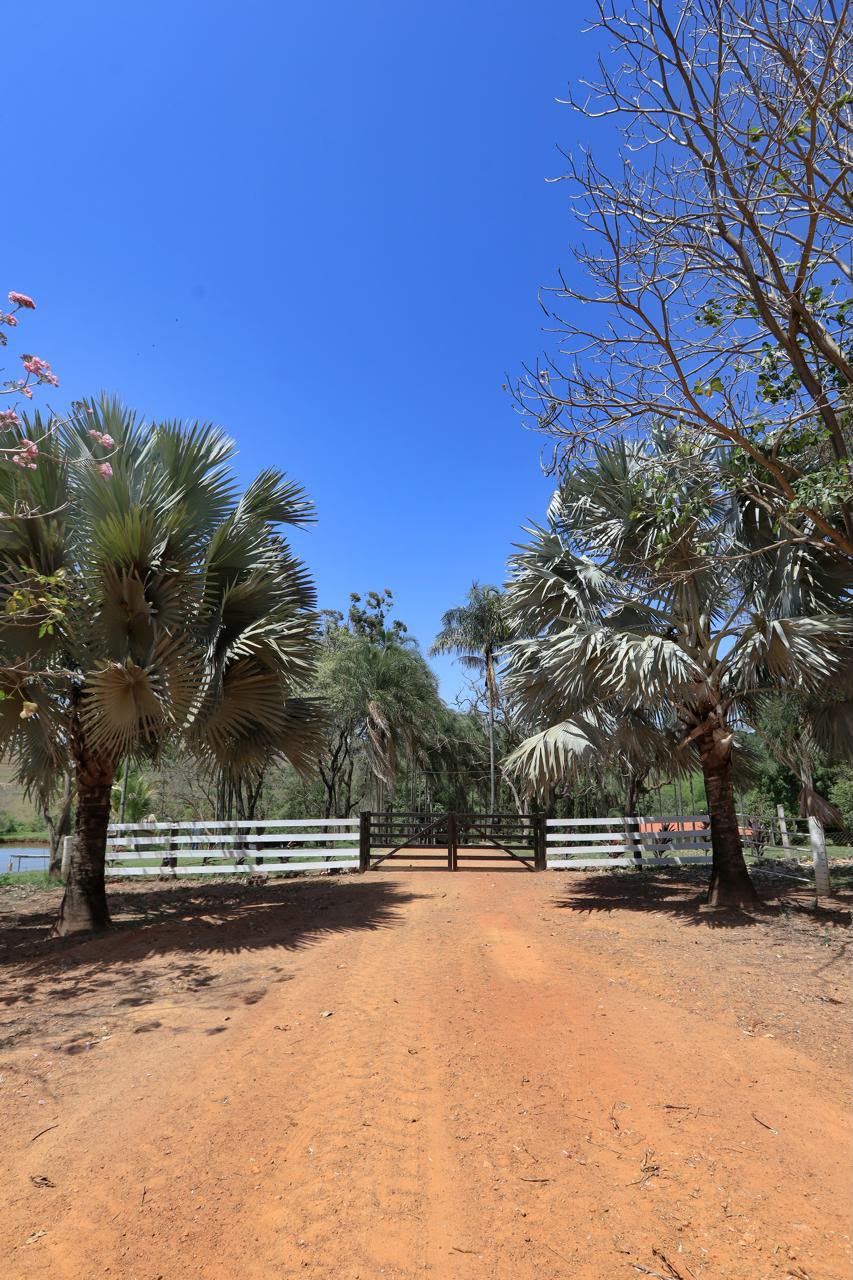Fazenda de Alto Padrão / 18alq(GO) de Terra de cultura / São Miguel do Passa Quatro / 80km de Goiânia / 400 cabeças de gado / 850 metros de altitude / Fazenda plana / Benfeitorias Completas