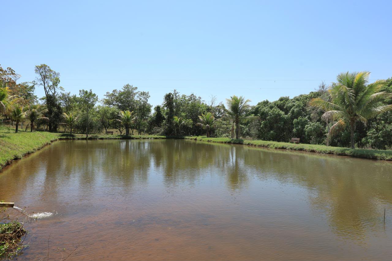 Fazenda de Alto Padrão / 18alq(GO) de Terra de cultura / São Miguel do Passa Quatro / 80km de Goiânia / 400 cabeças de gado / 850 metros de altitude / Fazenda plana / Benfeitorias Completas