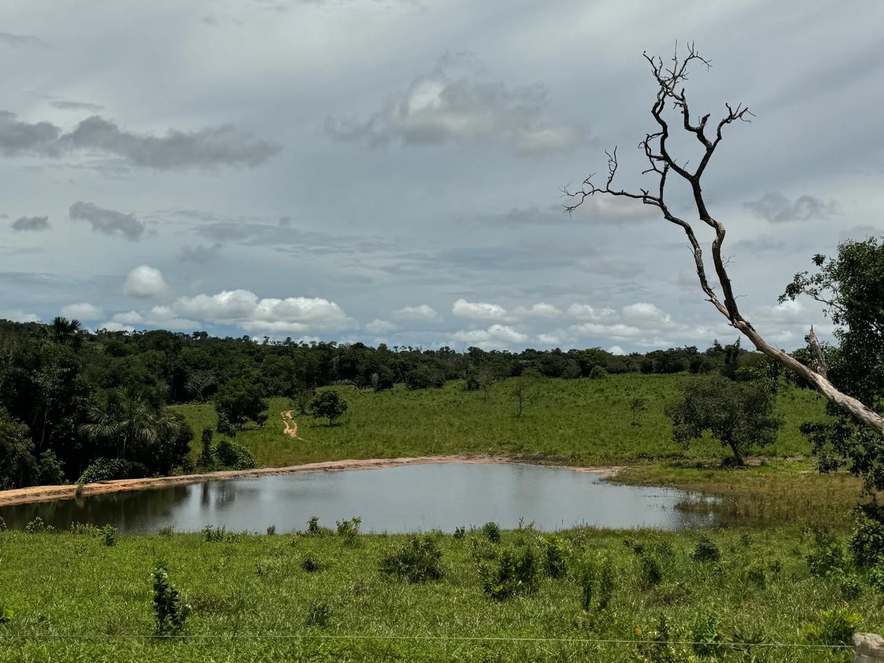 Fazenda em Tesouro, MT / 1936 hectares de área total / 1000 hectares de área em pastagem / Topografia plana e ondulada / 2 currais simples / 150km de Barra do Garças - MT