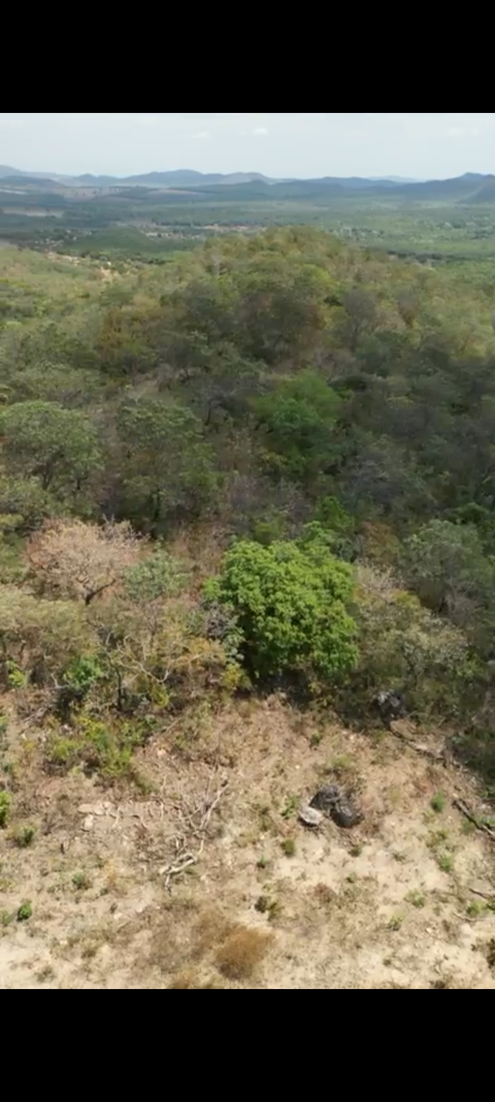 Oportunidade Única: Seu Refúgio no Paraíso de Pirenópolis a Partir de R$ 250 Mil! Chácara em Pirenópolis!